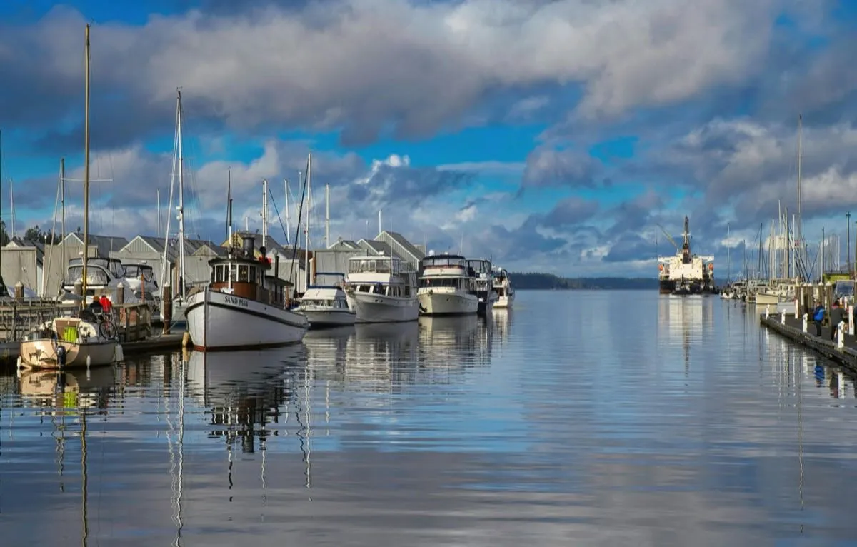 Boats docked at a marina in the Puget Sound